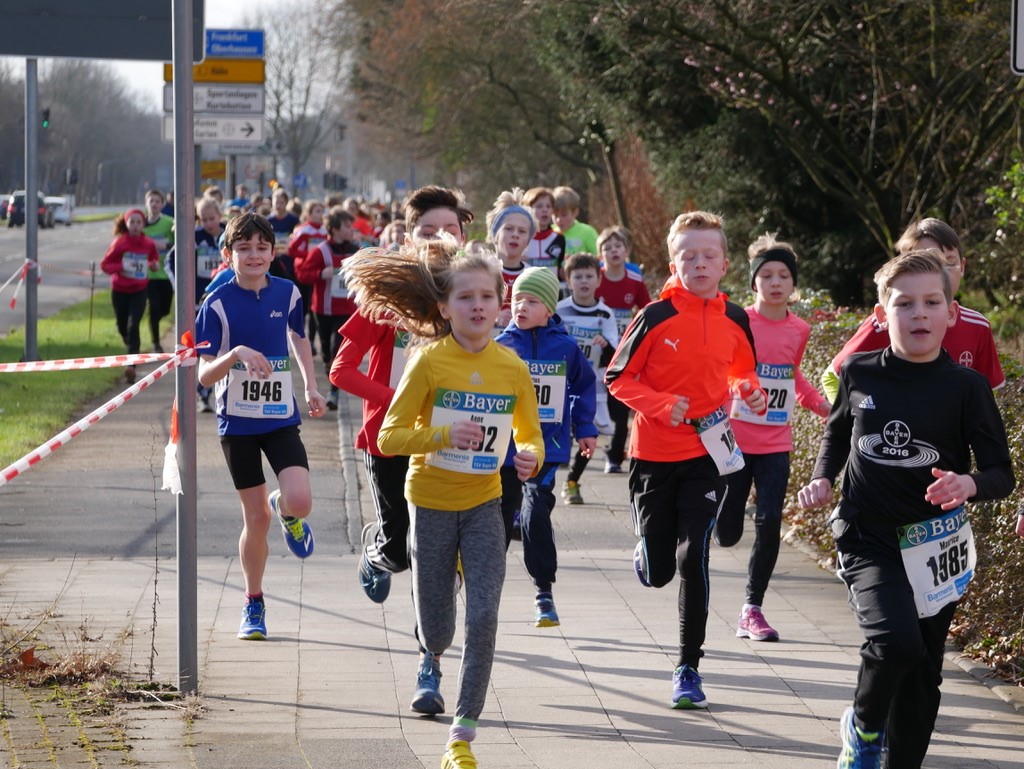 (Foto: M. Schneider) Muskelfasertypen2_MSchneider-Foto