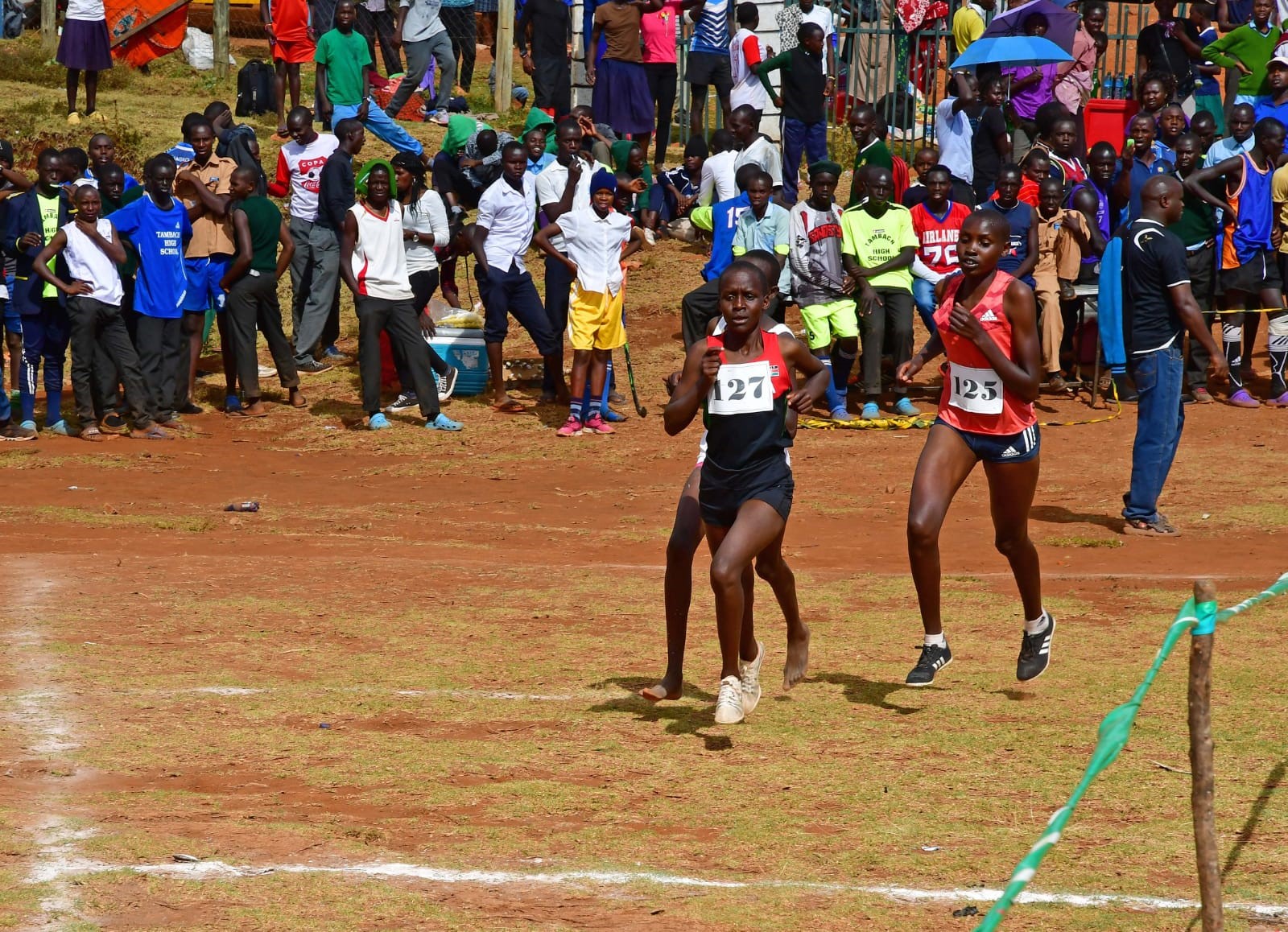 101213157 Schneider Foto