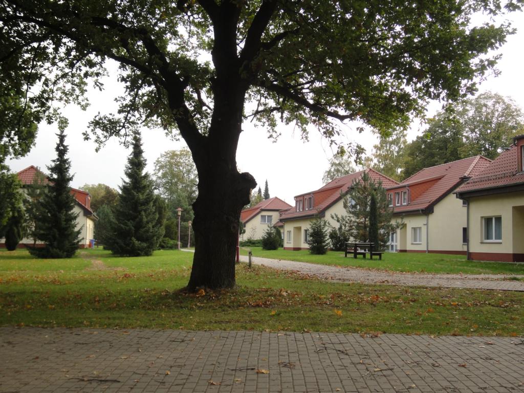 In Kienbaum ist Nachwuchs-Gruppentraining gut möglich (Foto: Pöhlitz) Motivation6_Poehlitz-Foto