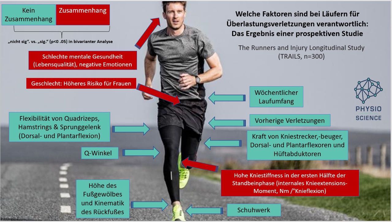 www.physiomeetsscience.com Wirbelsaeule6_physiomeetsscience